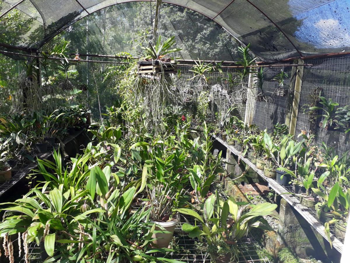 Casa/Sitio Na Serra Em Bom Jardim - Rj Εξωτερικό φωτογραφία