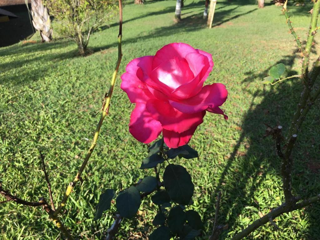 Casa/Sitio Na Serra Em Bom Jardim - Rj Εξωτερικό φωτογραφία